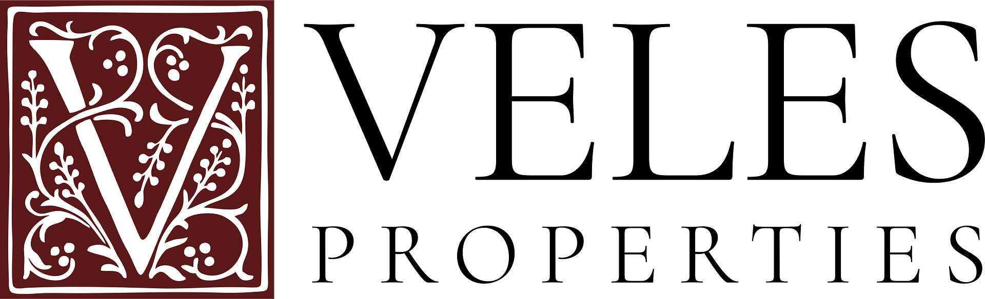 Veles logo colour 2